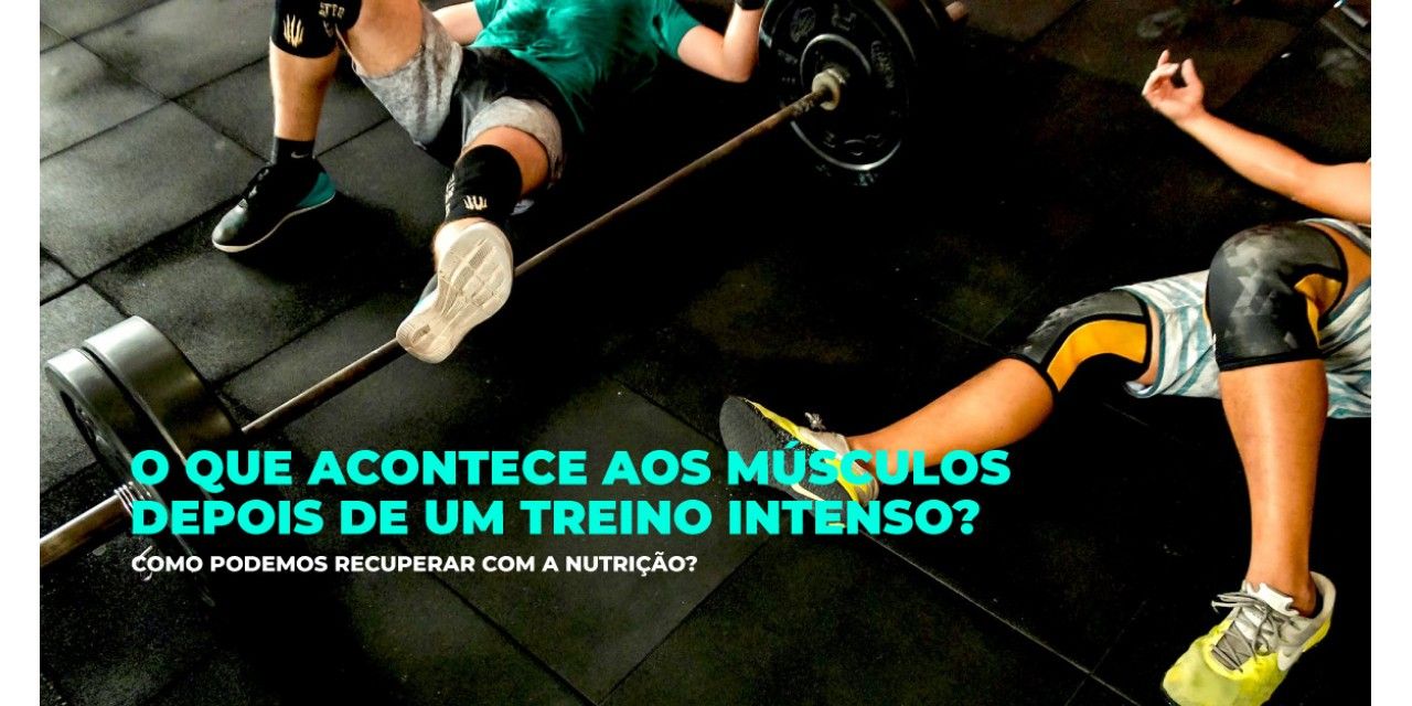 o que acontece aos msculos depois do treino