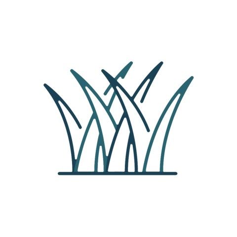IMAGE2