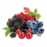 Frutos Silvestres